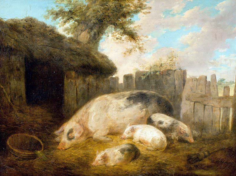 Front of the Pigsty